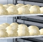 FERMALIEVITAaperto2
